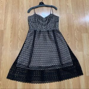 J. Crew Black and Cream Midi Dress